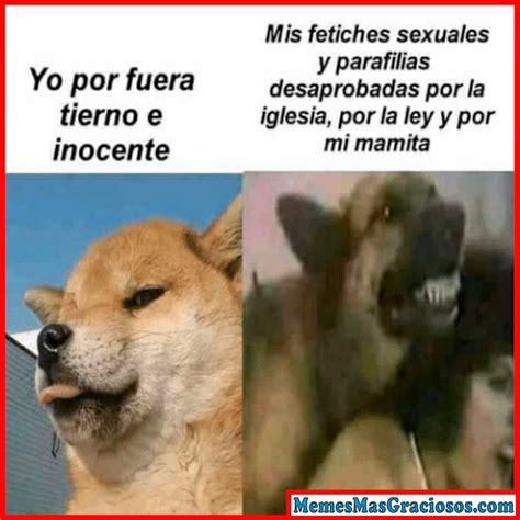 memes sexuales para tu pareja|100 mensajes de WhatsApp para mi novia divertidos y。